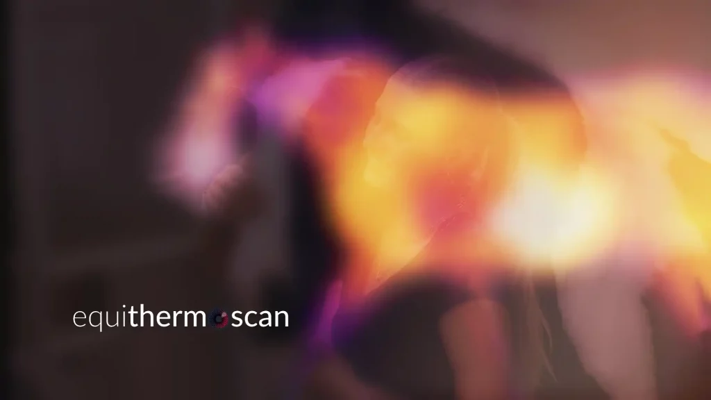 Thermografieaufnahme eines Pferdes mit Falschfarben-Wärmebild