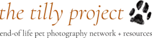 Logo Tilly Project