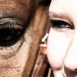 Eine Frau ist Auge an Auge mit Ihrem Pferd auf diesem Portrait beim Fotoshooting mit Pferd