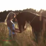 Frau kuschelt im Sonnenuntergang mit Ihrem Pferd in Bayreuth