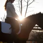 Pferdefotoshooting mit Connemara Pony