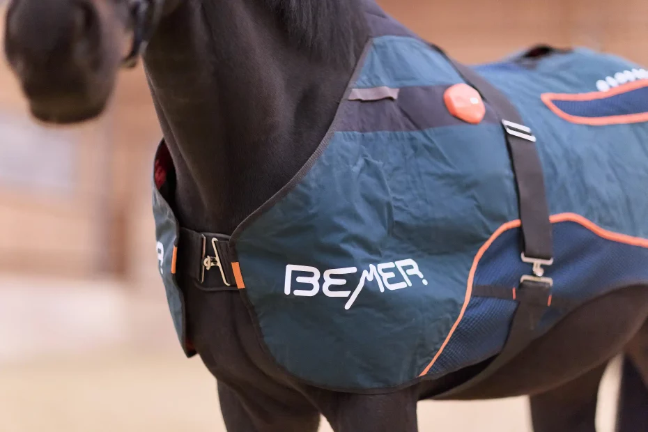 Die BEMER Decke als Teil des Horse Sets auf einem Pferd