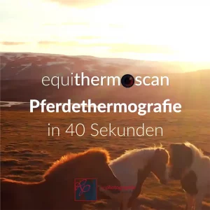 Video Pferdethermografie in 40s Cover